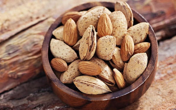 تصویر 2 از قیمت خرید بادام تلخ درختی با فروش عمده
